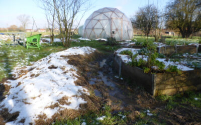 Dans notre jardin d’hiver