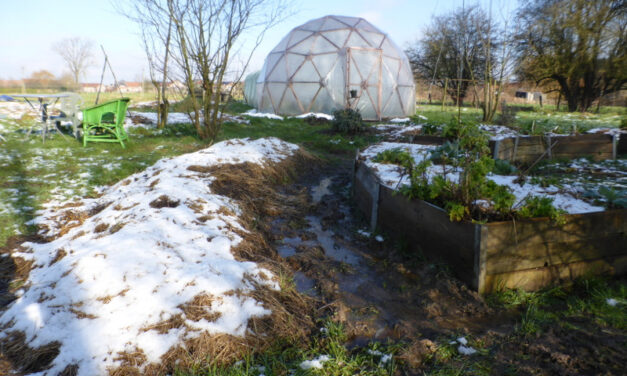 Dans notre jardin d&rsquo;hiver