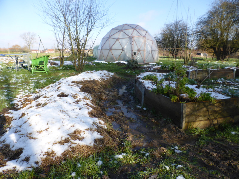 Dans notre jardin d’hiver