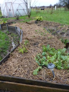 Une couche de compost, une de paille