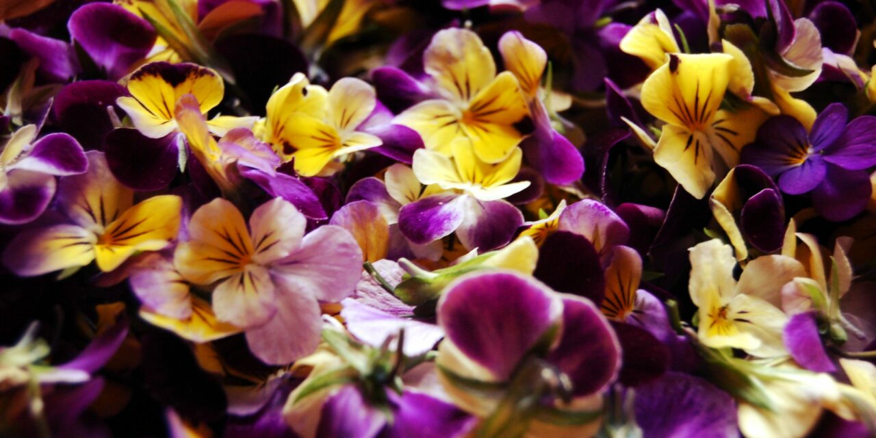 Flower power ou l&rsquo;incroyable pouvoir des fleurs