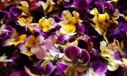 Flower power ou l&rsquo;incroyable pouvoir des fleurs