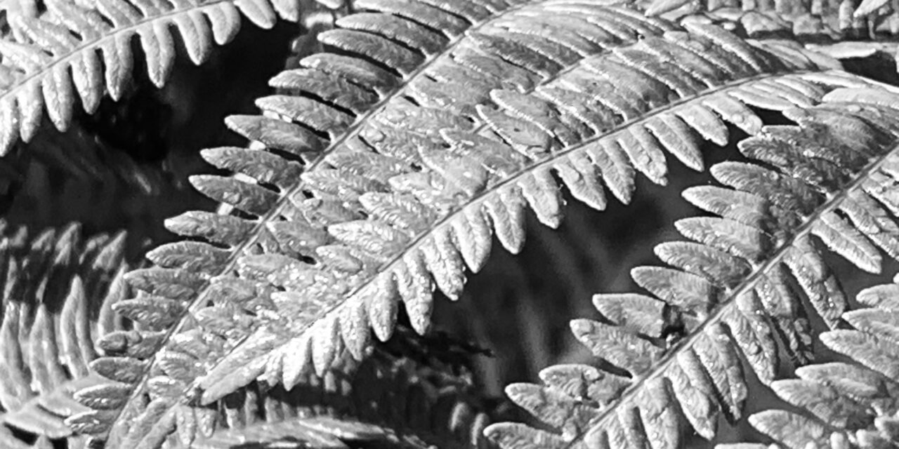 Textures sans texte