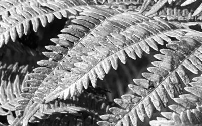 Textures sans texte